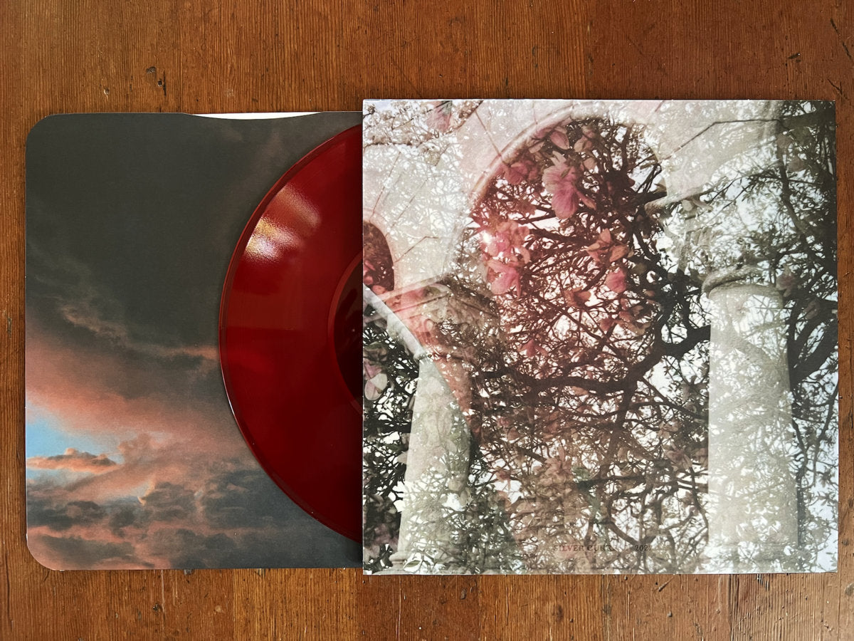 Mary Lattimore & Growing - Gainer LP