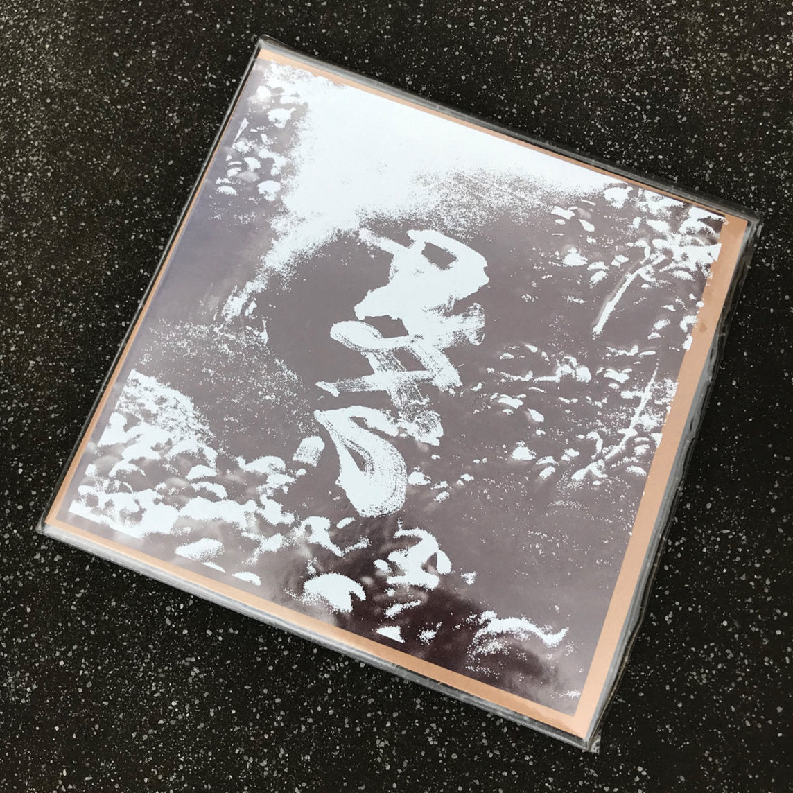 Bearer - Praxis 2xLP