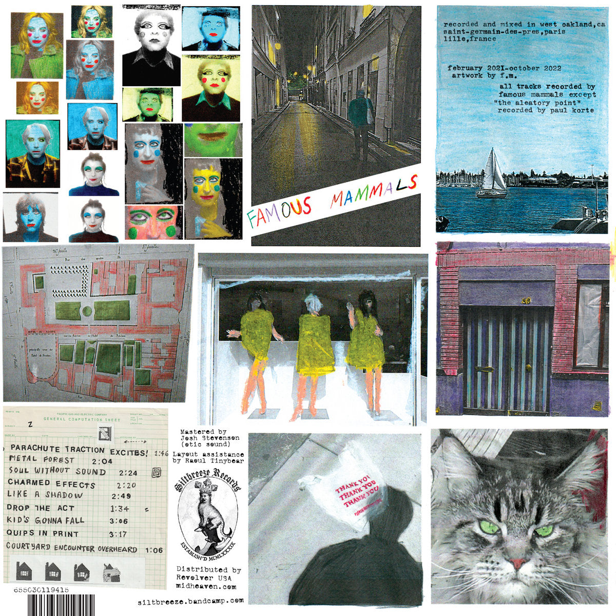Famous Mammals - Instant Pop Expressionism Now! LP