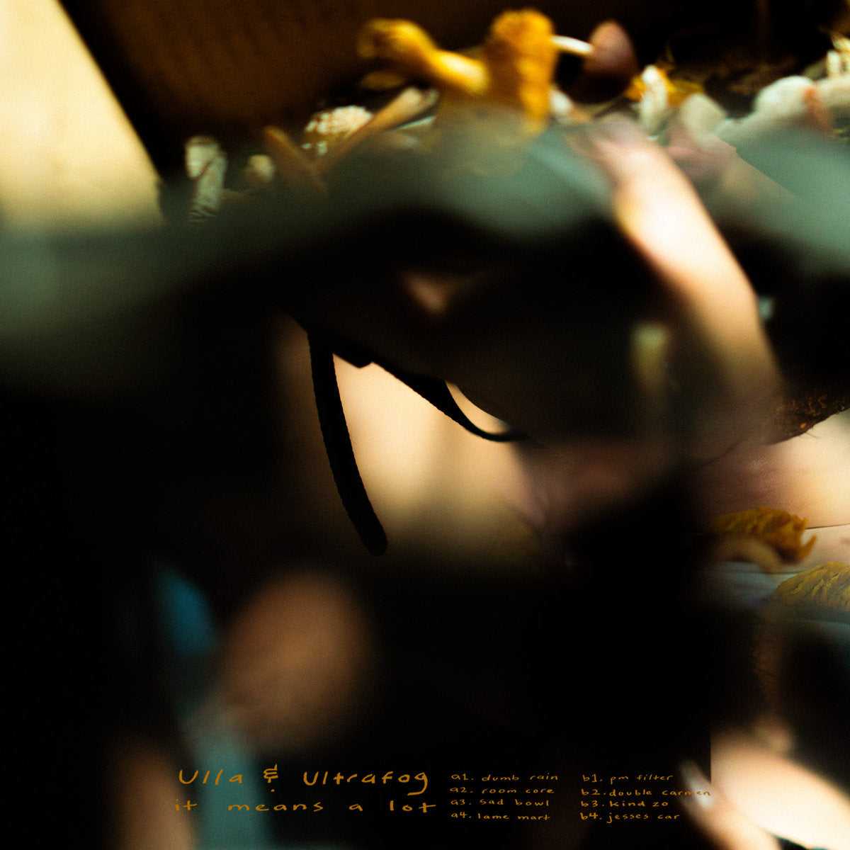 Ulla & Ultrafog - it means a lot LP