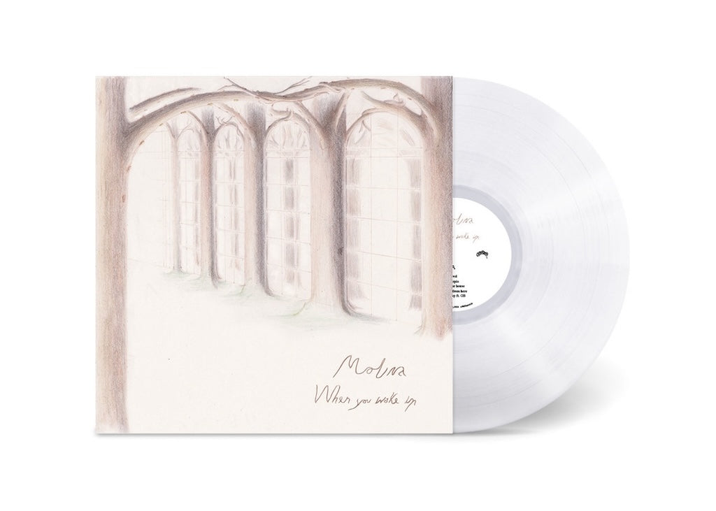 Molina - When you wake up LP