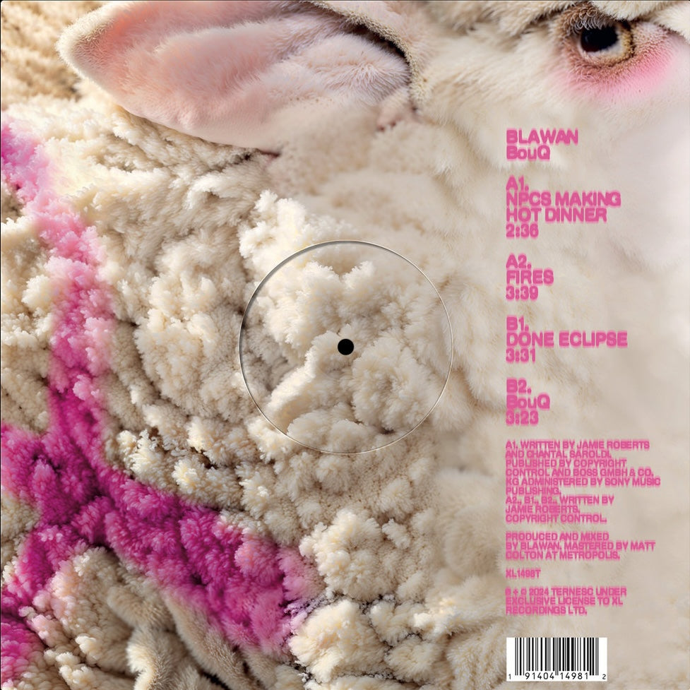 Blawan - BouQ 12"