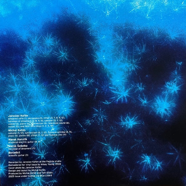 Jaroslav Kořán - Zahrada LP