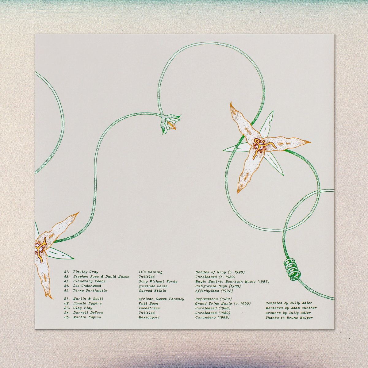 V/A - Lost Coast: Some Visionary Music from California, 1980–1992 LP
