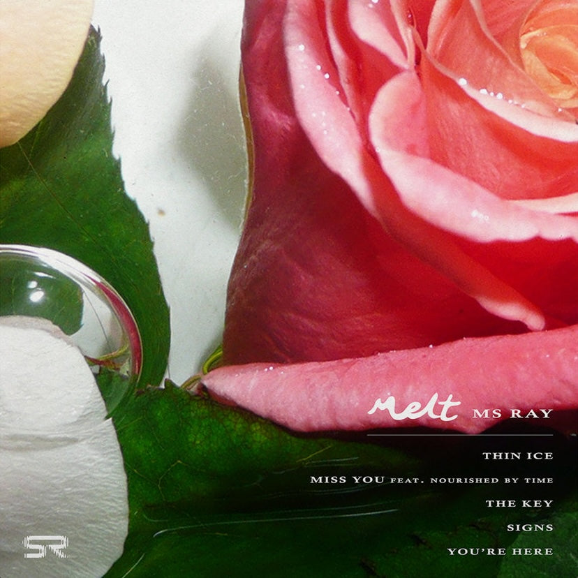 Ms Ray - Melt EP 12"
