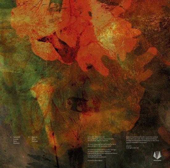 Rave at Your Fictional Borders - Analogue Nomadism LP