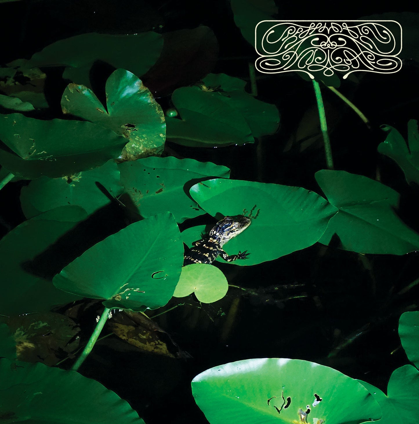 Crespi Drum Syndicate - Colada Talk LP (Pre-order)