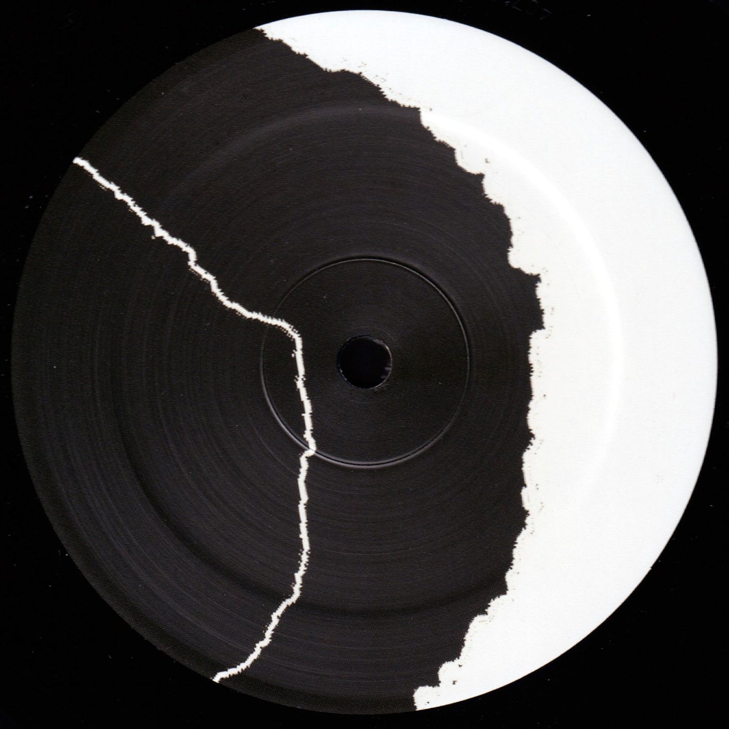 SnP 500 - Unrolled 12"