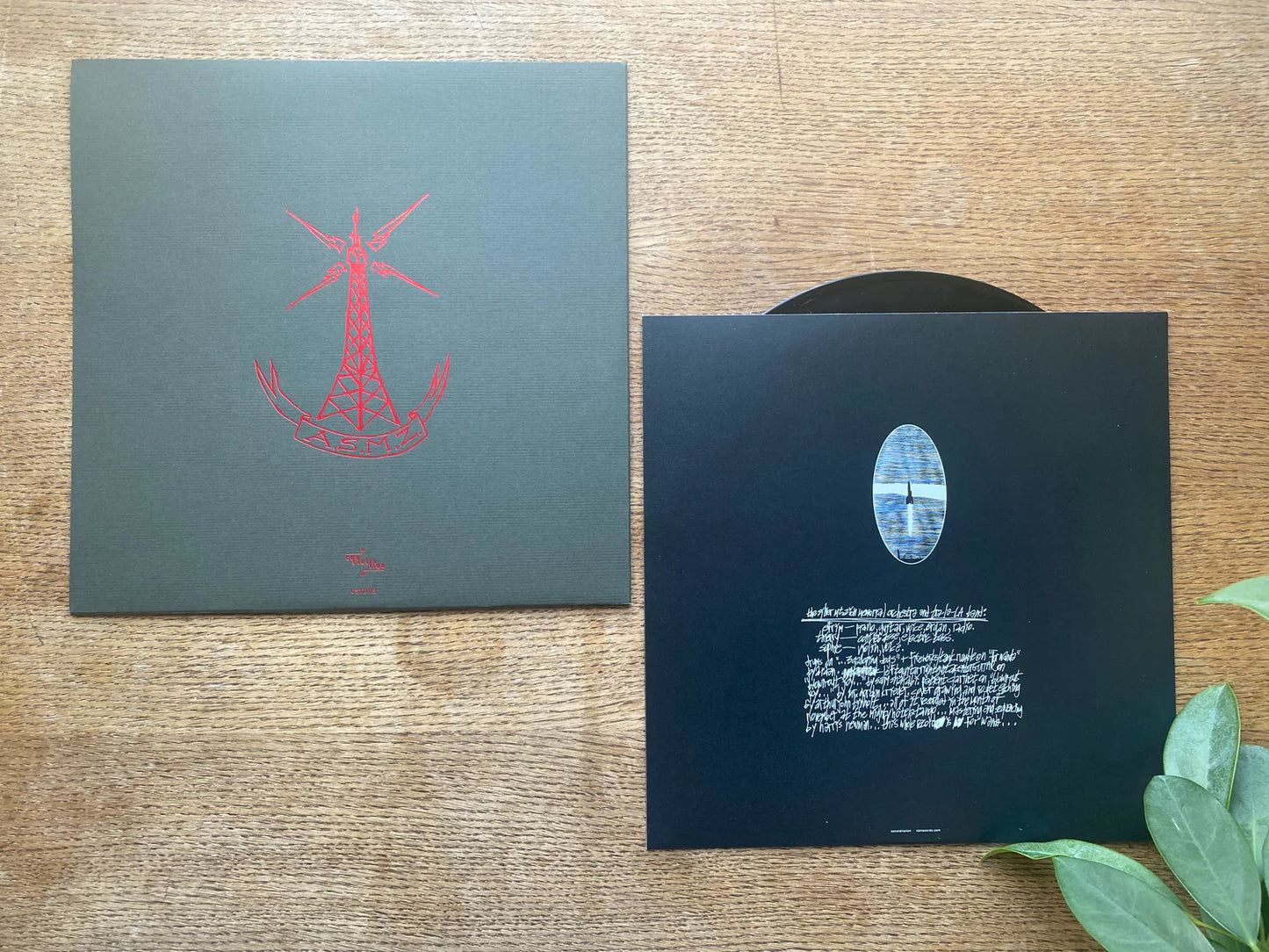A Silver Mt. Zion - He Has Left Us Alone But Shafts of Light Sometimes Grace the Corner of Our Rooms… LP