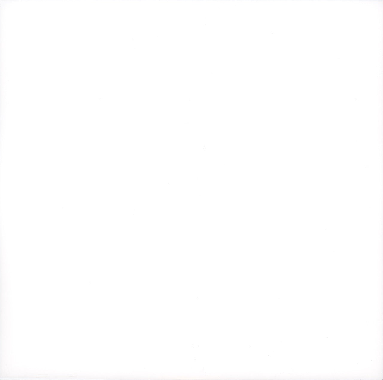 SnPLO - The cocaines (Pin-3) 2x10" (Pre-order)