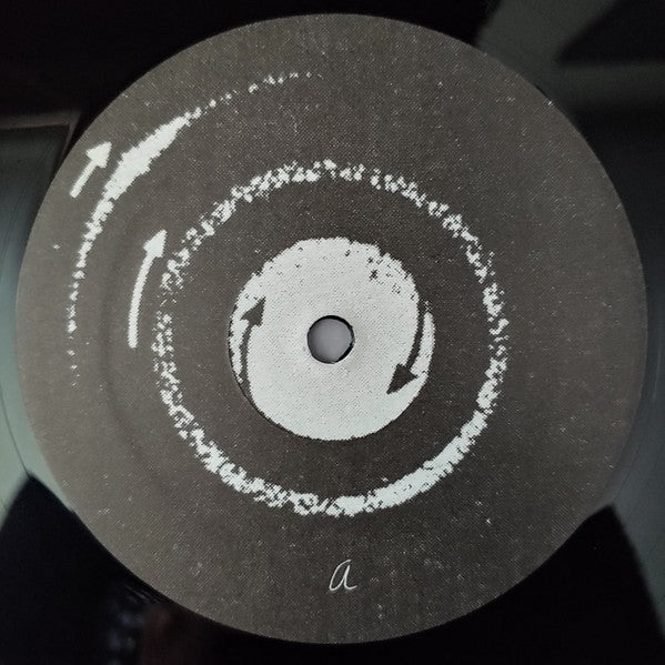 Grouper - A I A : Alien Observer LP