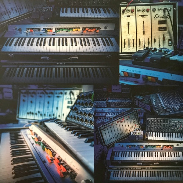Roedelius - Selbstportrait Wahre Liebe LP