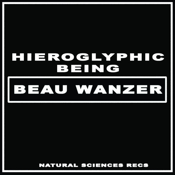 Beau Wanzer x Hieroglyphic Being - 4 Dysfunctional Psychotic Release & Sonic Reprogramming Purposes Only 12"