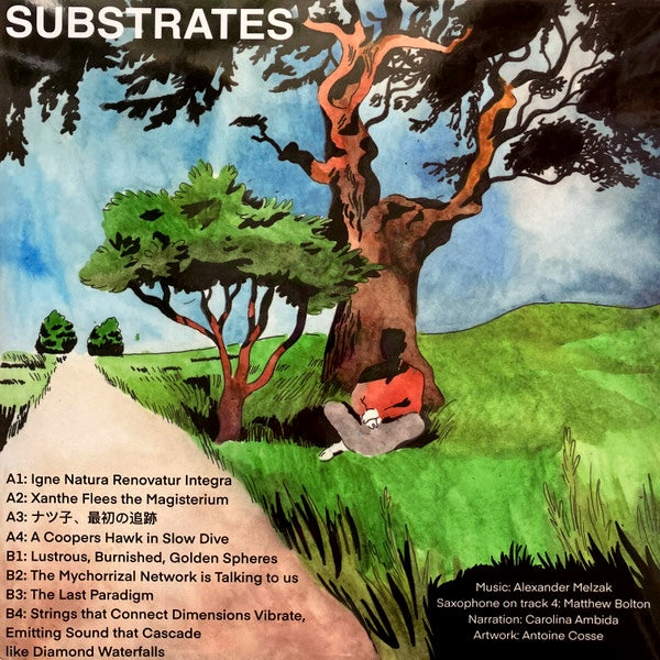 Alexander Melzak - Substrates LP