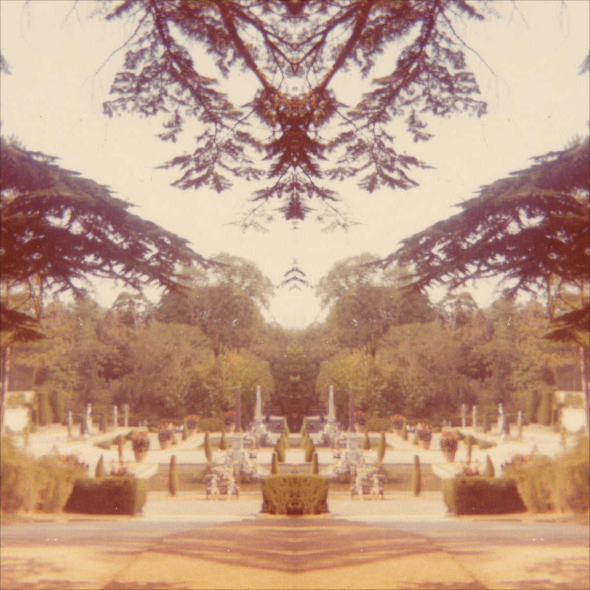 Tom James Scott - Nightshade LP