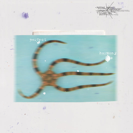 Guy Contact and Solar Suite - Perfect Harmony EP 12"
