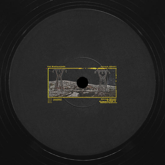 M Salaciak - Unit Cell 12"