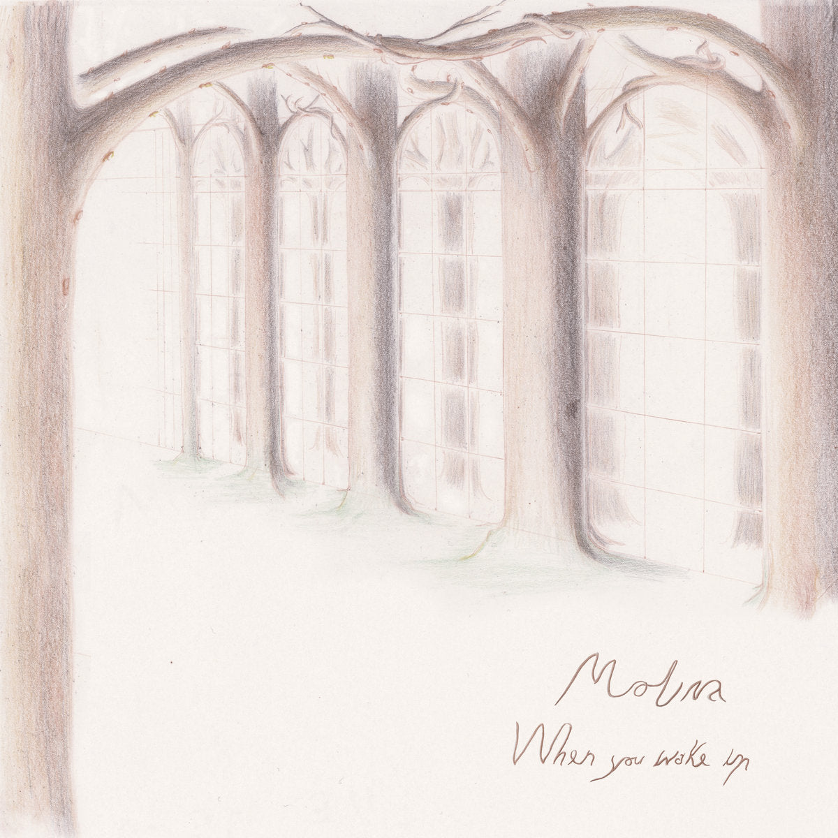 Molina - When you wake up LP