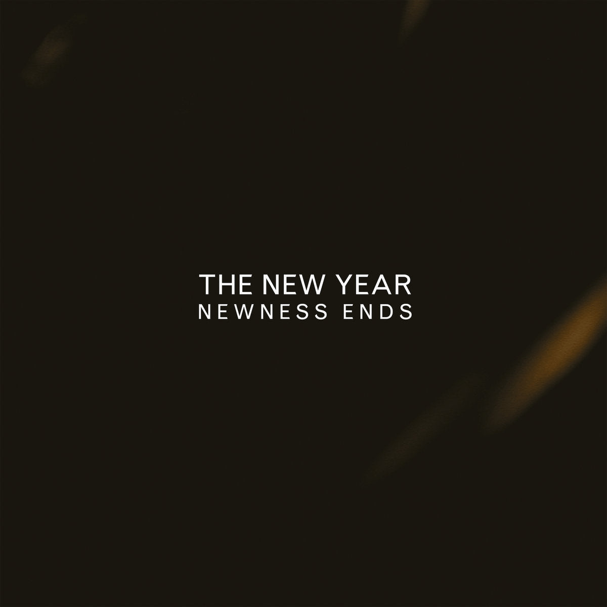 The New Year - Newness Ends LP