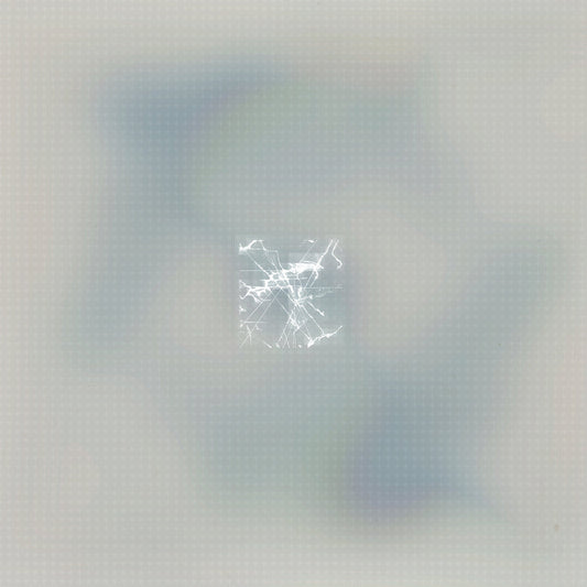 jp - we're here all the time LP (Pre-order)