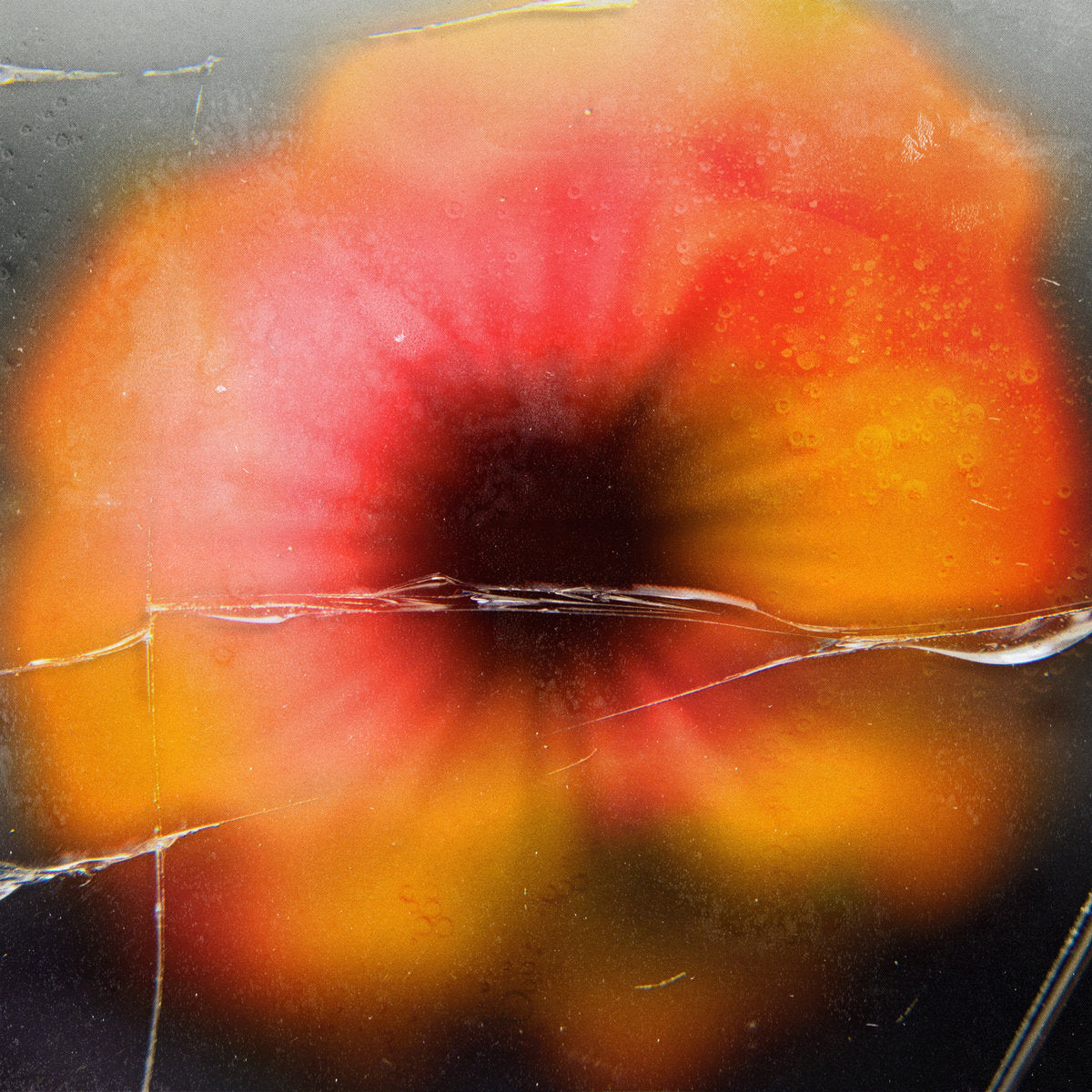 Objekt - Chicken Garaage 12"