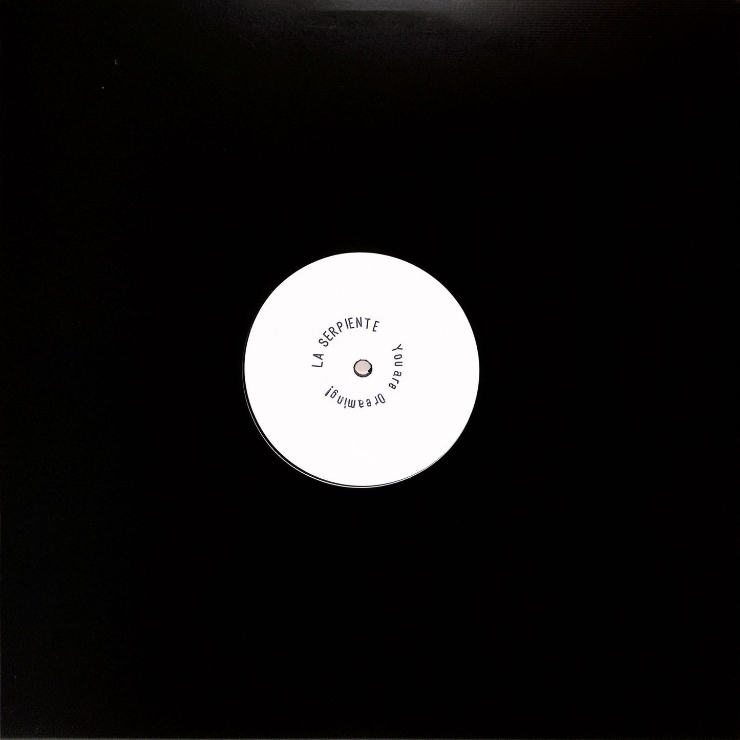 La Serpiente - You Are Dreaming! Remixes 12"