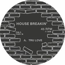 Mark Seven - House Breakin 12"