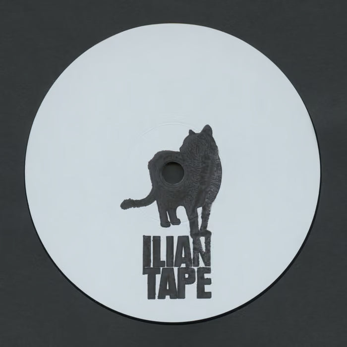 Fields of Mist - Intergalatic Rose EP 12"