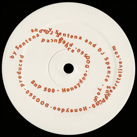 SnP 500 - Honeydoo 12"