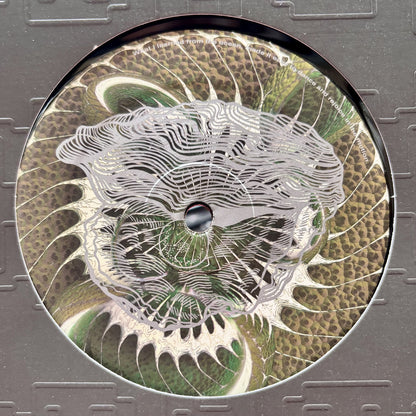 Volodymyr Gnatenko - Mershiy LP