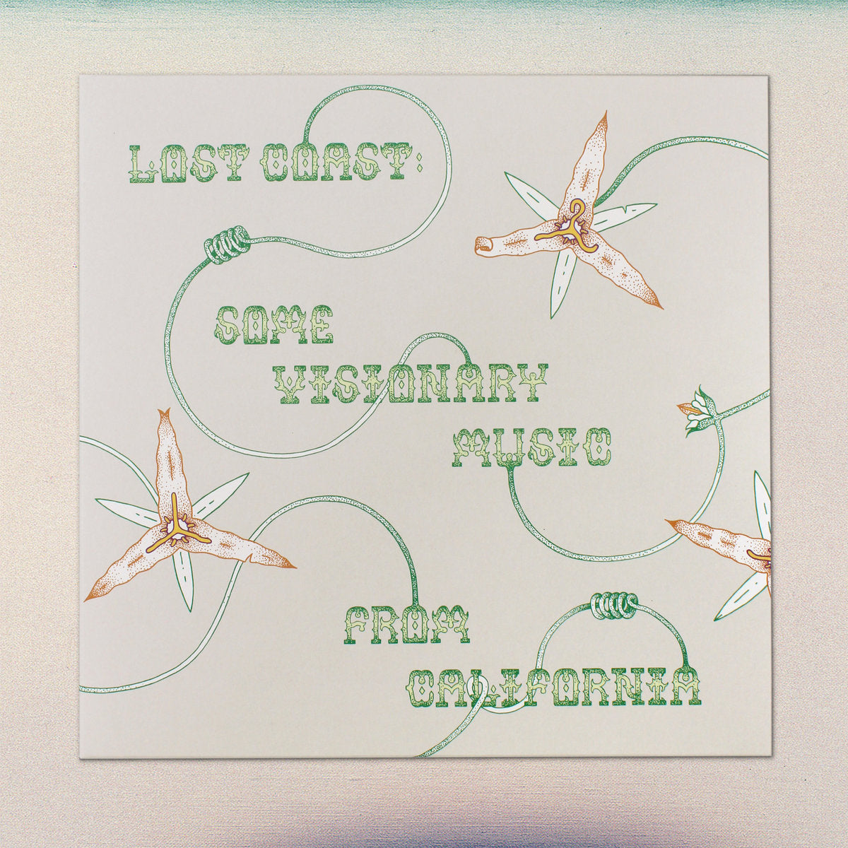 V/A - Lost Coast: Some Visionary Music from California, 1980–1992 LP