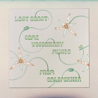 V/A - Lost Coast: Some Visionary Music from California, 1980–1992 LP