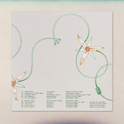 V/A - Lost Coast: Some Visionary Music from California, 1980–1992 LP