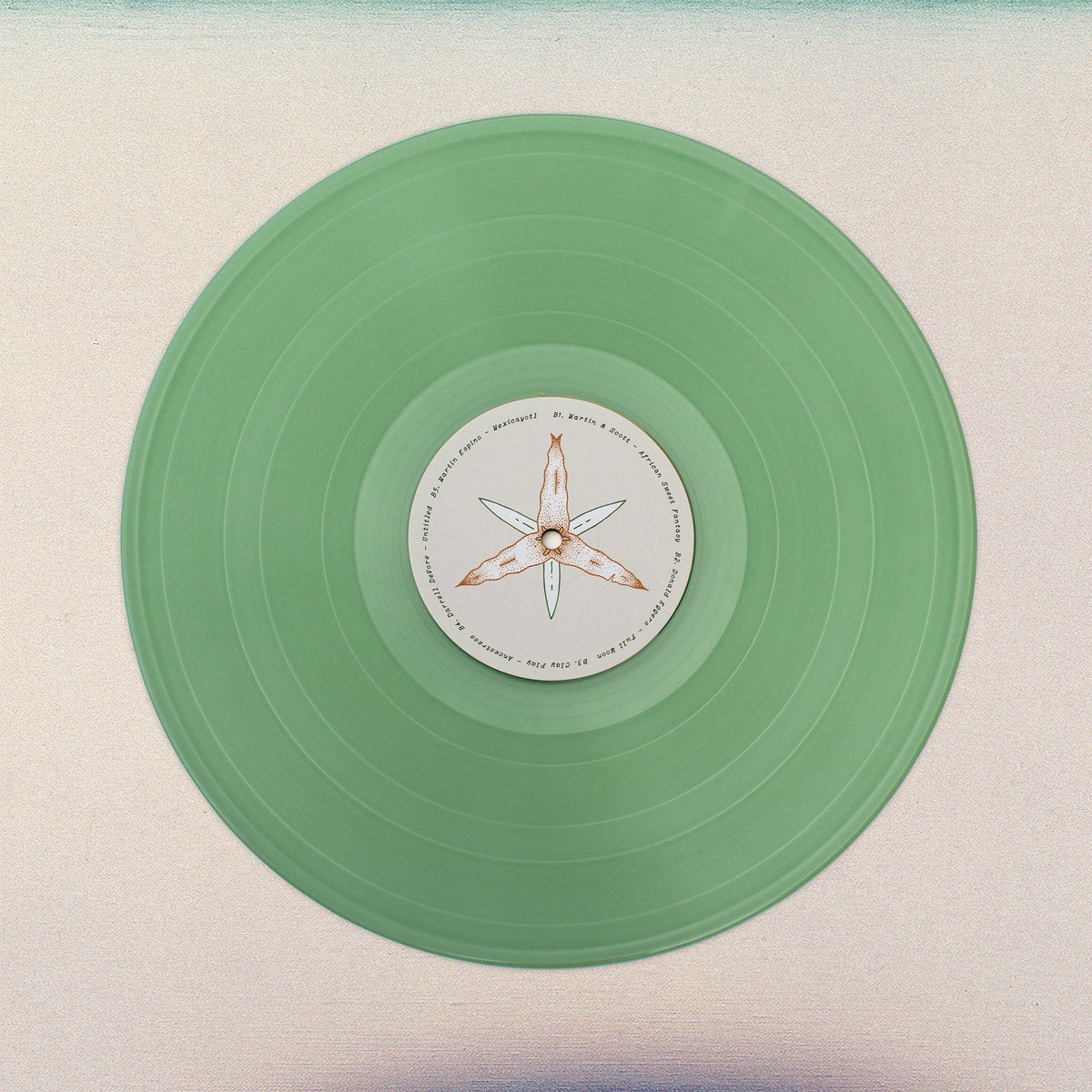 V/A - Lost Coast: Some Visionary Music from California, 1980–1992 LP