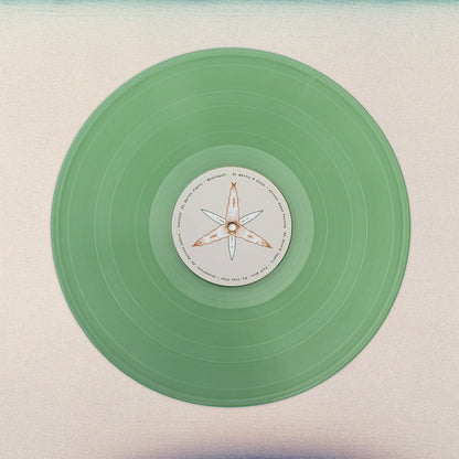 V/A - Lost Coast: Some Visionary Music from California, 1980–1992 LP