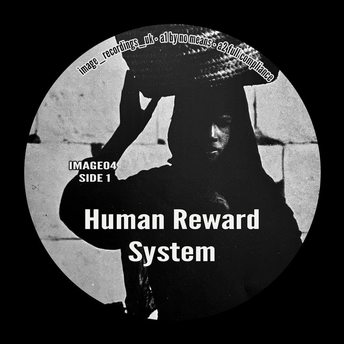 Other - Human Reward System 12"
