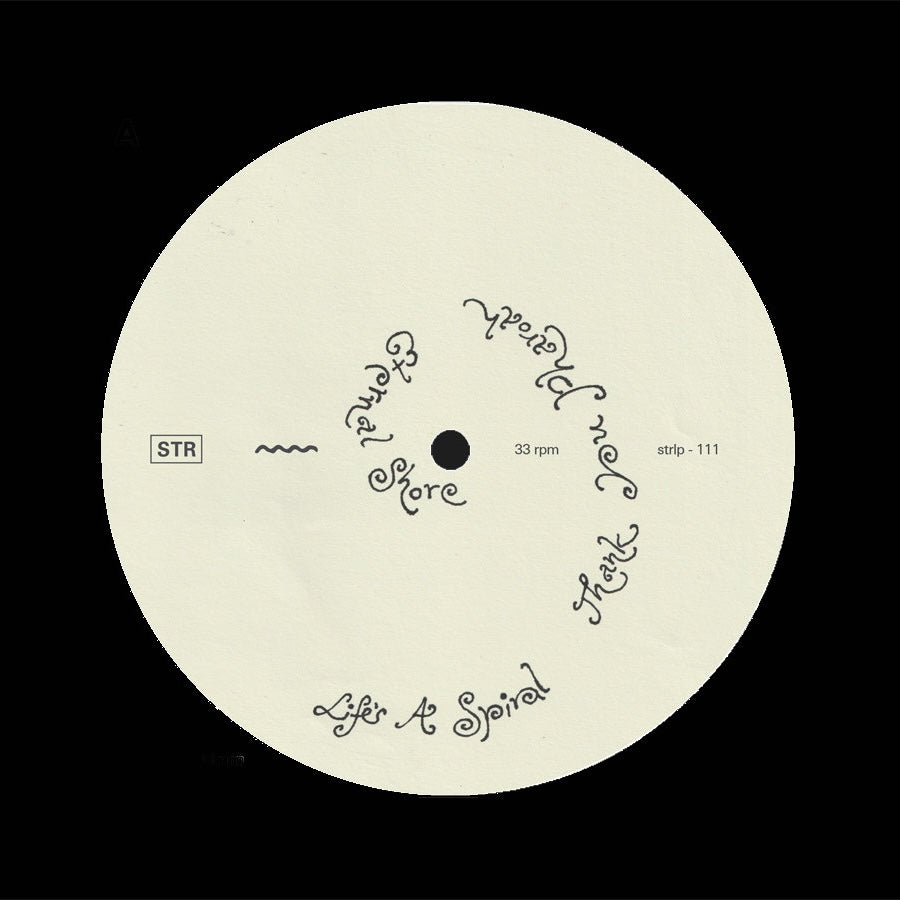 Florian T M Zeisig - A New Life LP