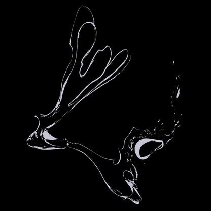 Anna vs. June and Jan Van Angelopoulos - Mutable Ground LP