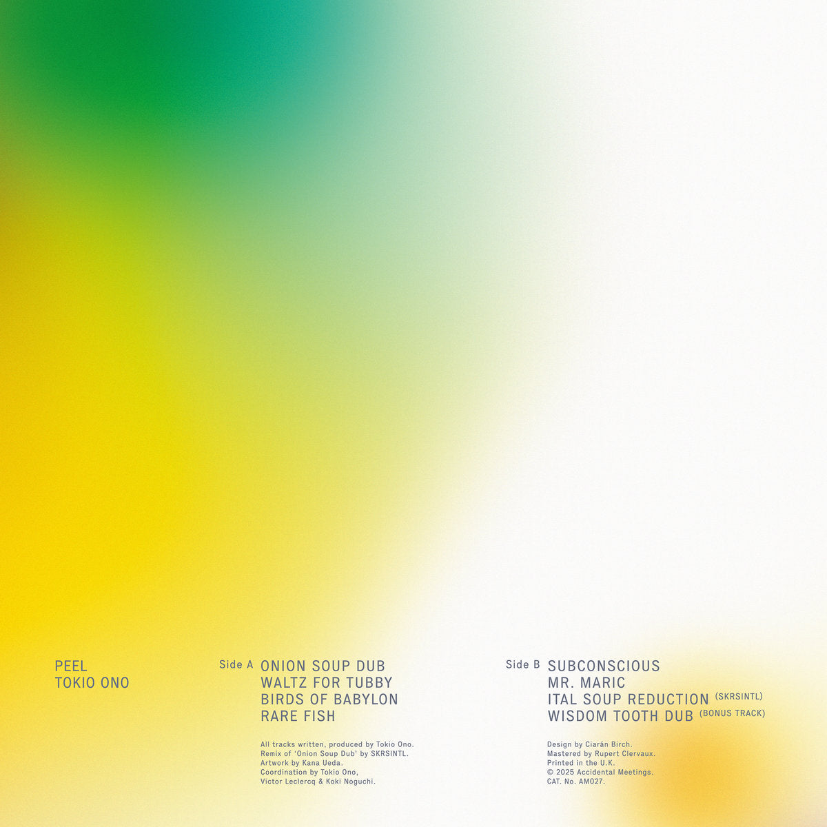 Tokio Ono - Peel (w/ SKRSINTL Remix) LP