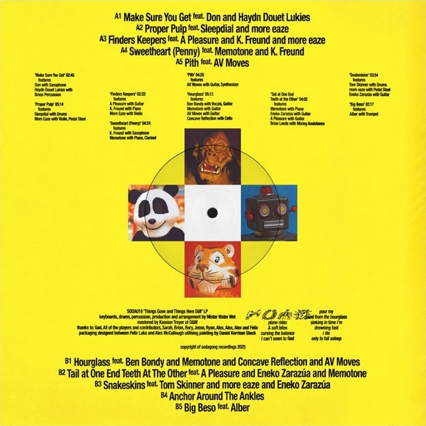 Mister Water Wet - Things Gone and Things Here Still LP