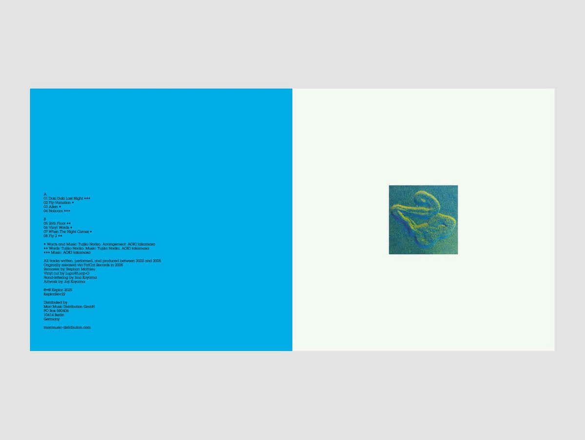 Tujiko Noriko + AOKI takamasa - 28 LP