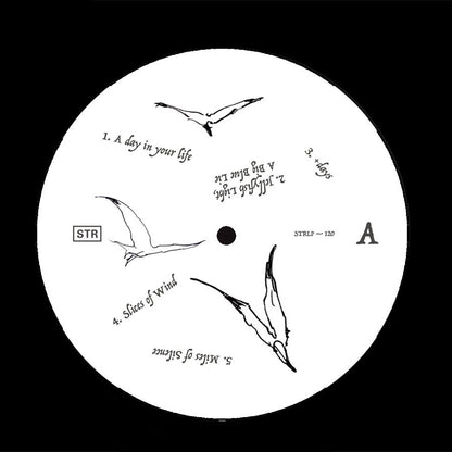 Ciro Vitiello - Notes from the Air LP