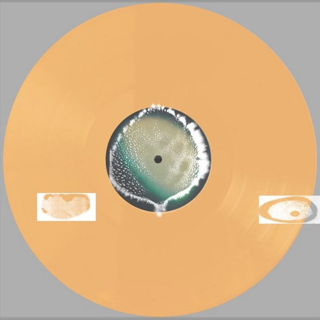 Yu Su - Foundry LP (Pre-order)