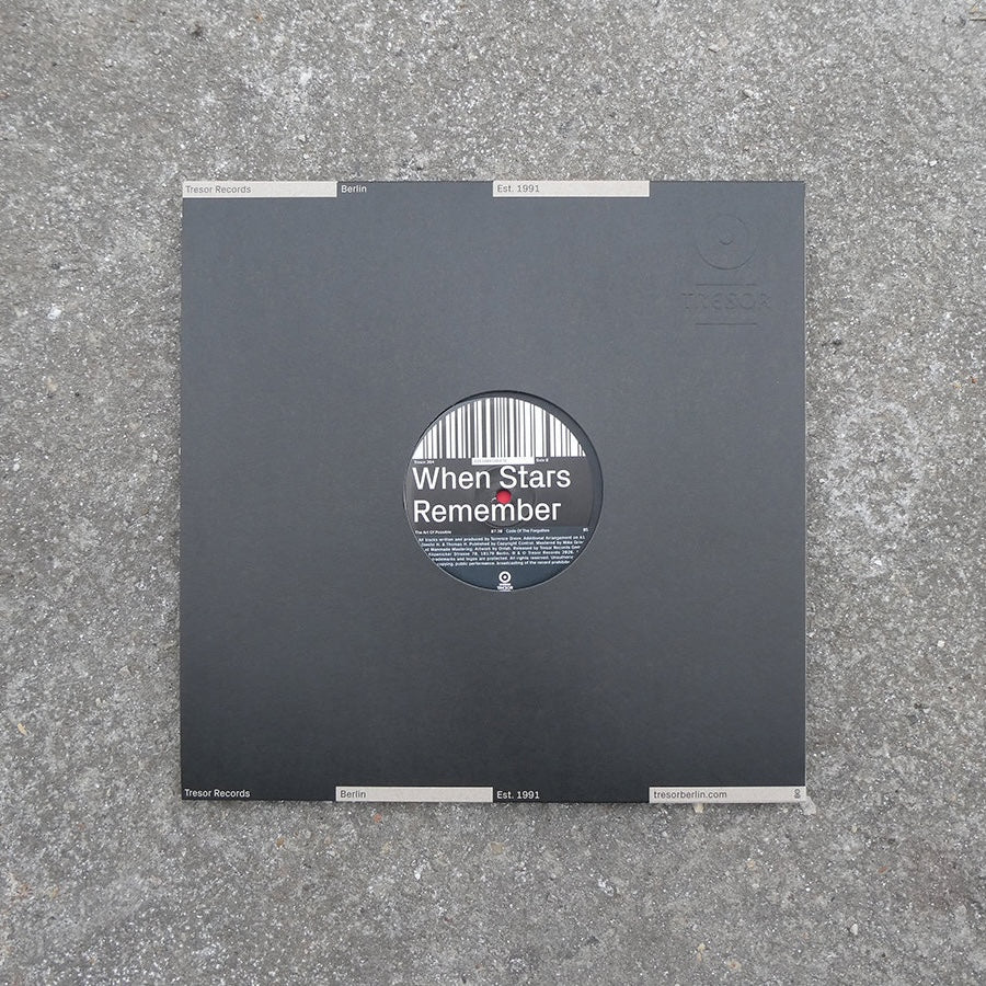 Terrence Dixon - When Stars Remember 12"