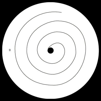 Mohammad Reza Mortazavi, Ricardo Villalobos - Swamp (Ricardo Villalobos Variation) EP 12"