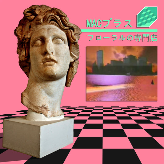 Macintosh Plus - Floral Shoppe LP