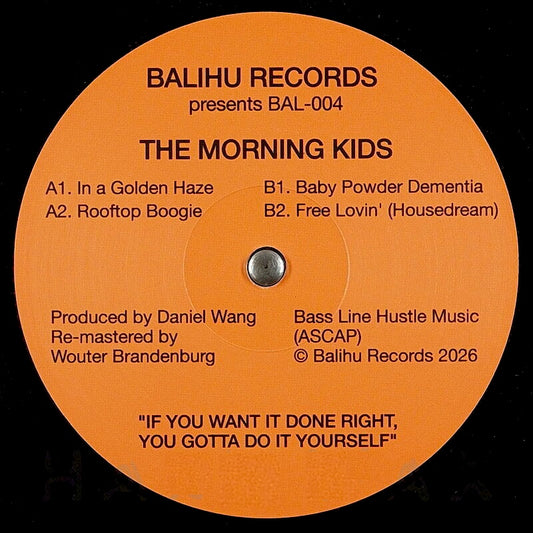 The Morning Kids - In a Golden Haze 12"