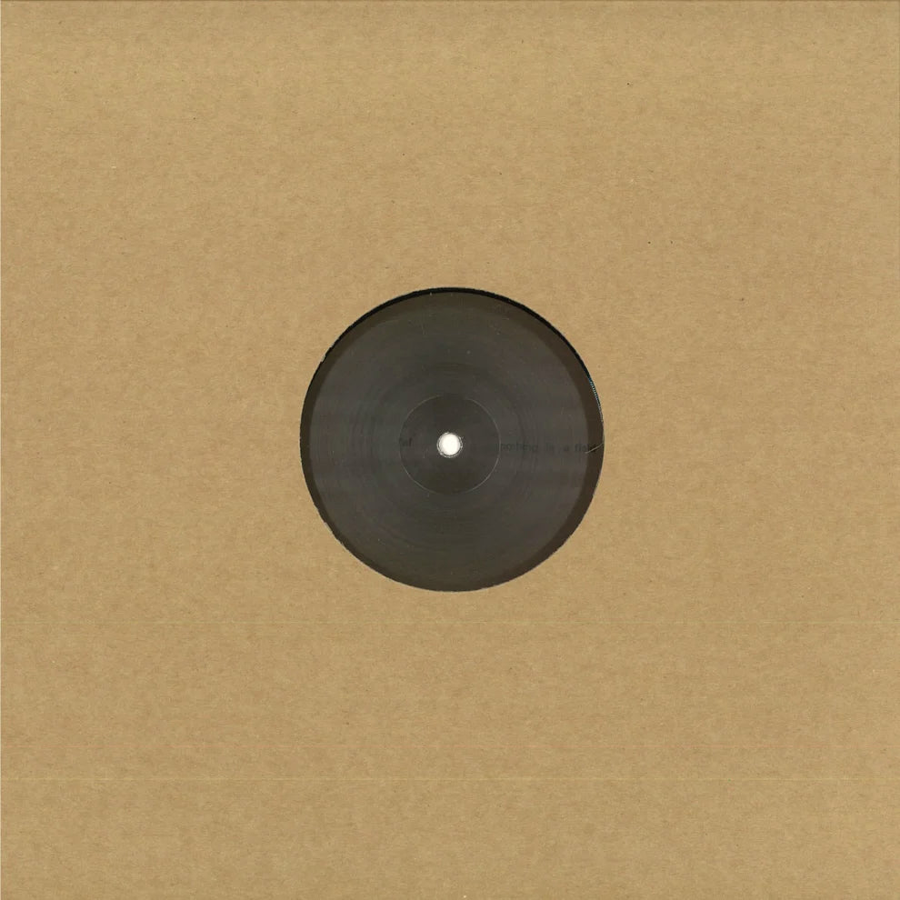 Adam Feingold - Nothing Is a Field 12"