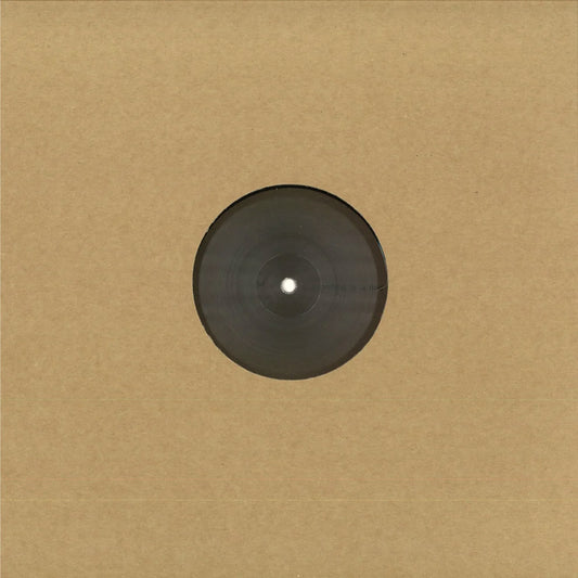 Adam Feingold - Nothing Is a Field 12"