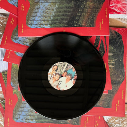 Atef Swaitat & Abu Ali - Palestinian Bedouin Psychedelic Dabka Archive LP